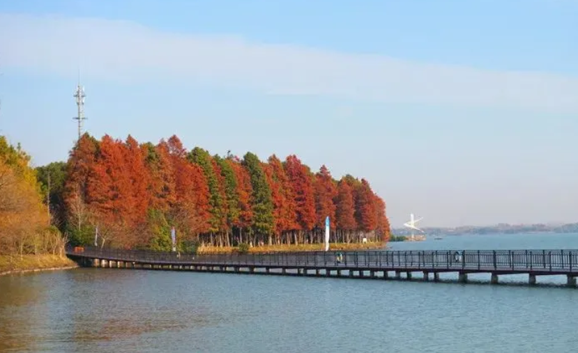 上海市崇明区西沙明珠湖景区景区票务管理系统公司.png