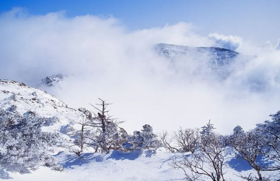 四川成都西岭雪山景区综合票管理系统功方案.png