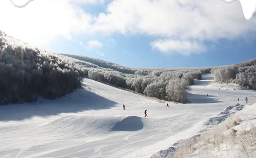 张家口多乐美地滑雪场票务一卡通方案.png