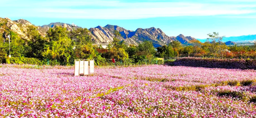 北京凤凰岭风景区票务系统价格.png